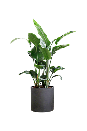 0a778f227761da347795630e32e7527d